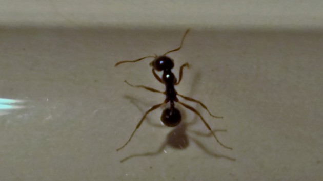 20151023_202647.jpg