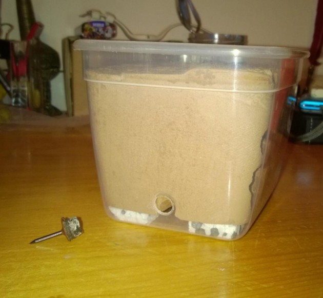 Formicaio tipo 2 C.jpg
