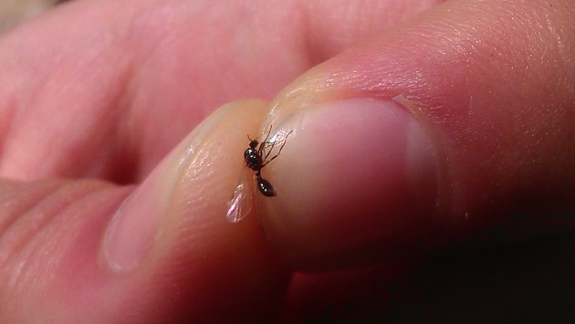 IMAG0054.jpg