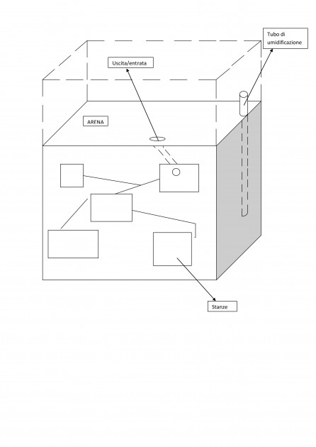 For. ver. 1.jpg