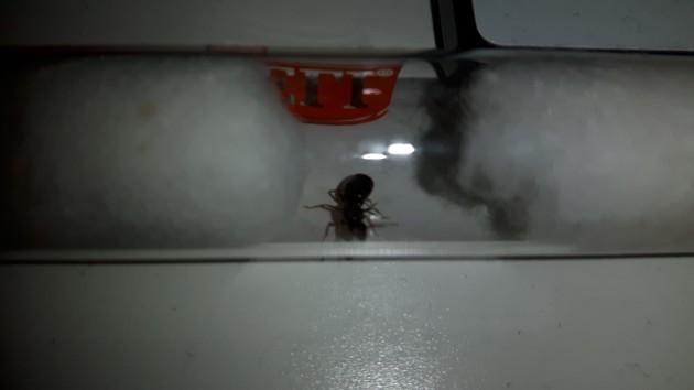 20151227_145528.jpg