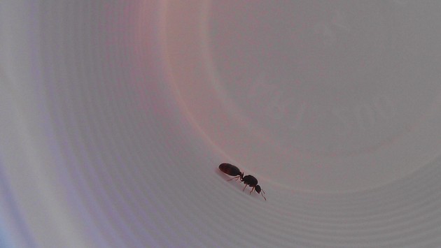 IMAG0058.jpg