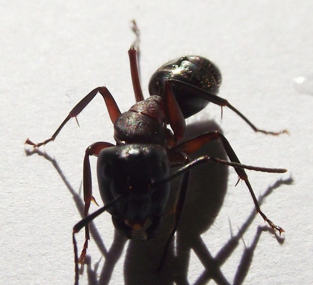 DSCF4569.JPG