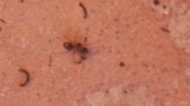 20160220_163627.jpg