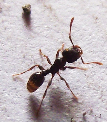 DSCF4576.JPG