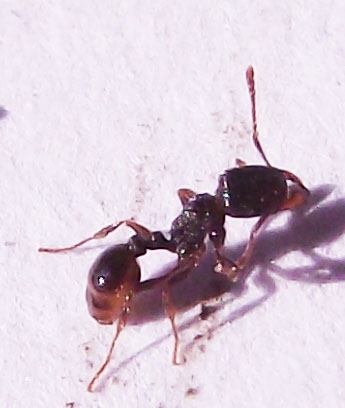 DSCF4579.JPG