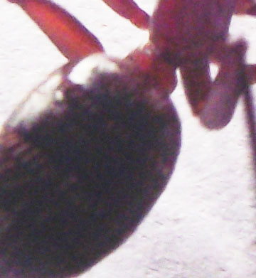 DSCF4572.JPG