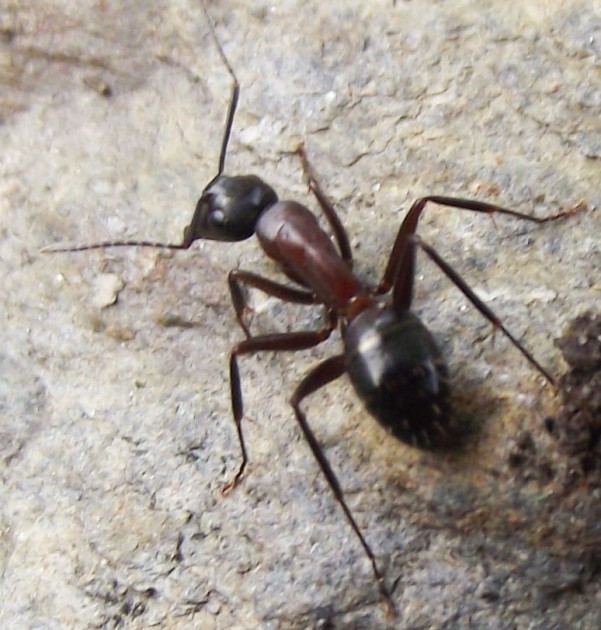 DSCF4585.JPG