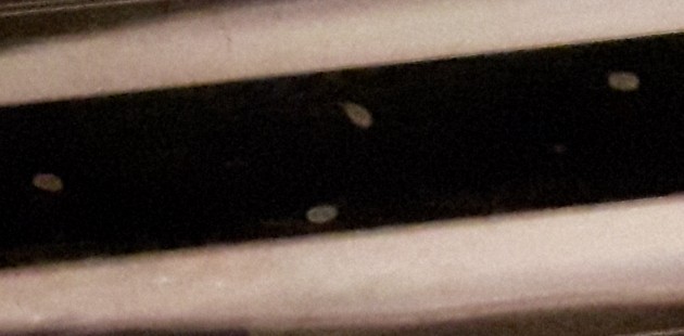 IMG_20160403_181110.jpg