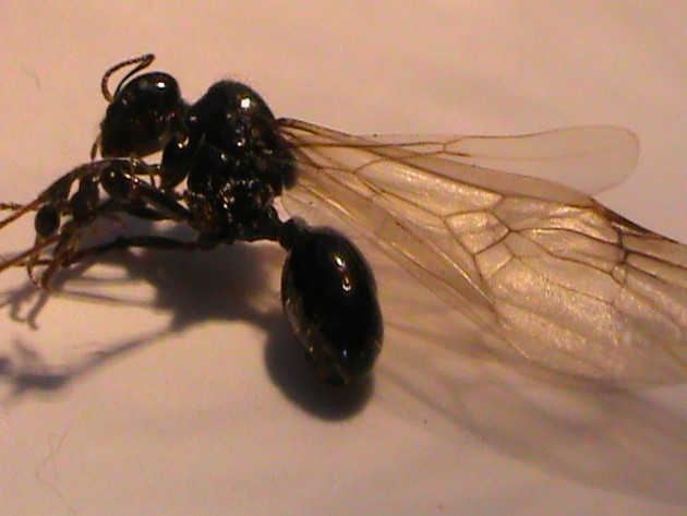 DSC02328.JPG