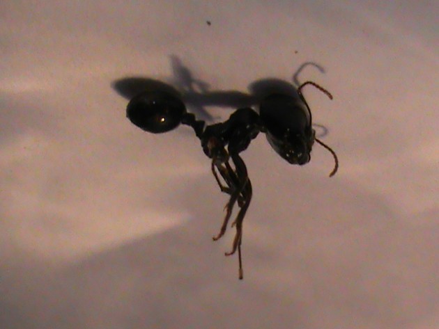 DSC02329.JPG