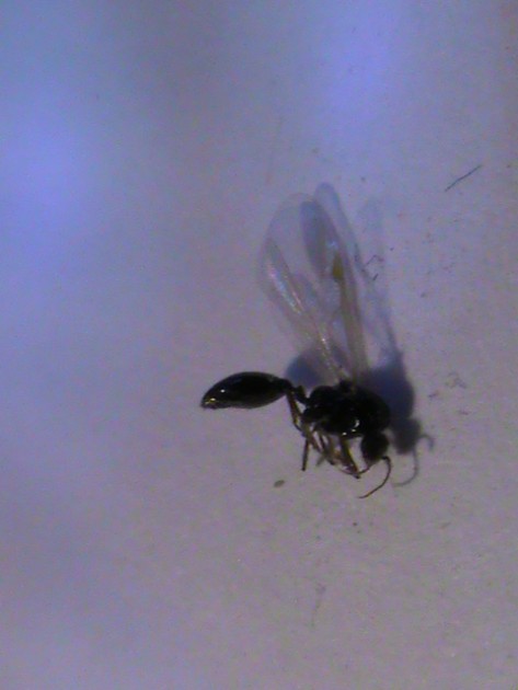 DSC02322.JPG