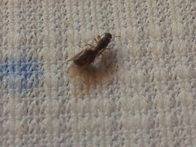 20121019_154131.jpg
