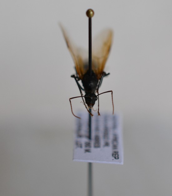 n° 8b.jpg