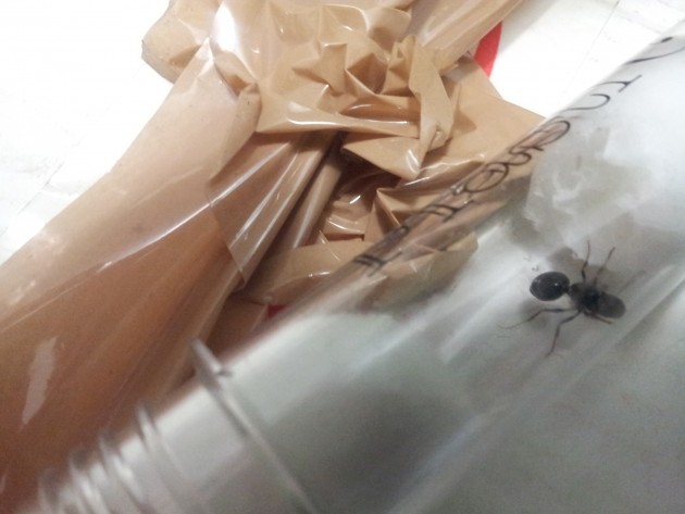 20121019_142215.jpg
