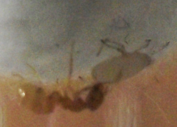 DSCF4596.JPG