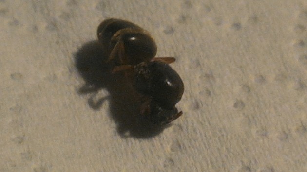 P_20160422_210701.jpg