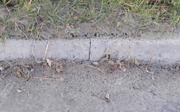 20160520.jpg
