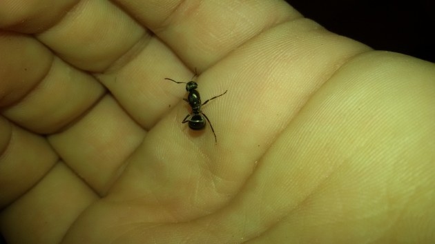 20160615_203124.jpg