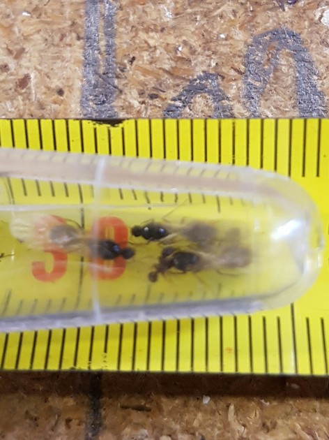 20160620_140430.jpg
