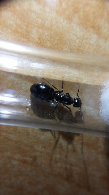 20160529_211220-min.jpg