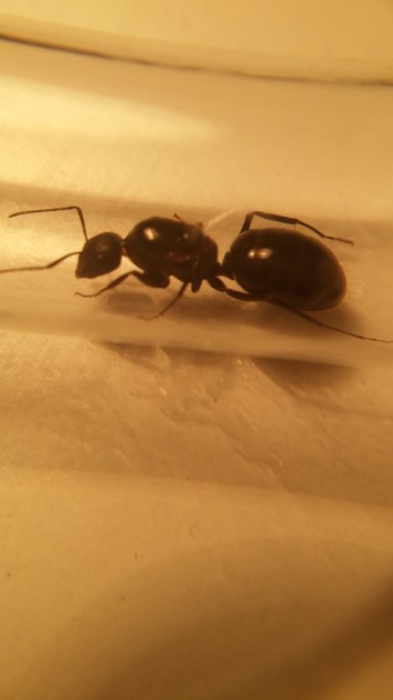 20160618_004428-min.jpg