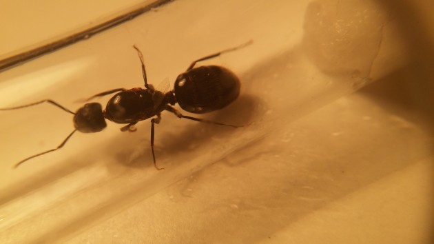 20160618_004502-min.jpg