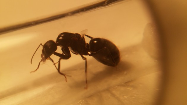 20160618_004530-min.jpg