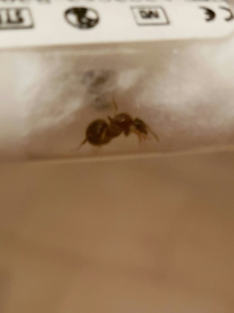20160629_100140.jpg