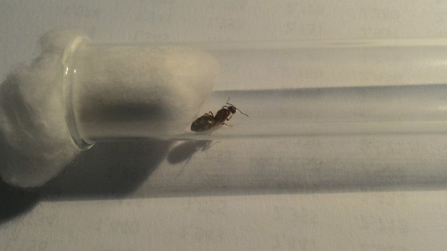 P_20160629_171342.jpg