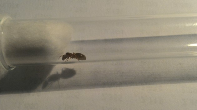 P_20160629_171331.jpg