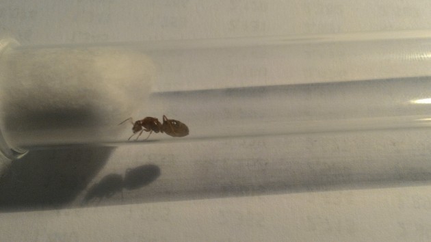 P_20160629_171329.jpg