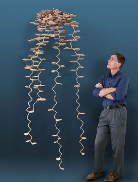 Antcourse 19.jpg