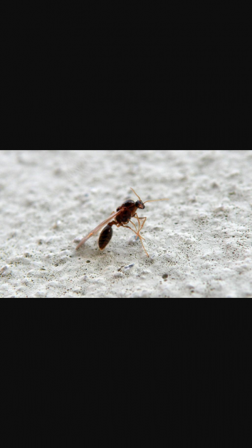 Screenshot_2016-07-01-17-03-00.png (440.53 KiB) Osservato 2849 volte Screenshot_2016-07-01-17-03-00.png