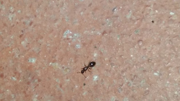 20160707_165515.jpg