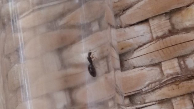 20160708_102327.jpg