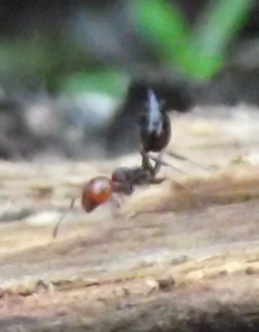 DSCF4771.JPG