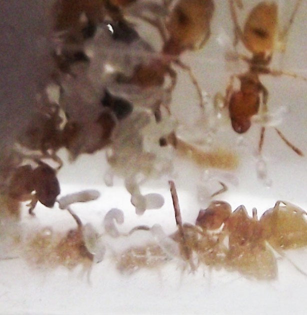 DSCF3540.JPG