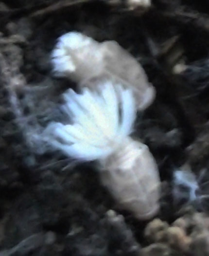 DSCF4776.JPG