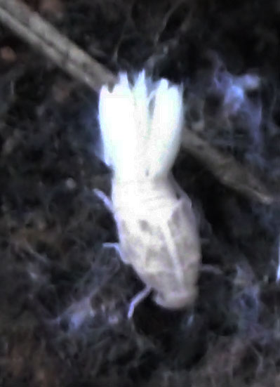 DSCF4777.JPG