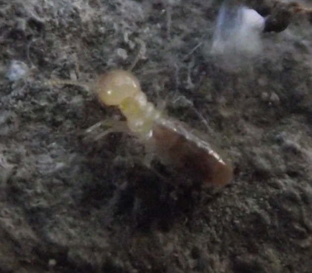 DSCF4781.JPG