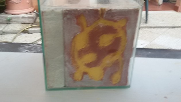 20160723_181255.jpg