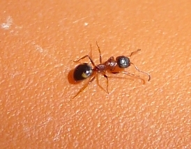 quadri1.jpg