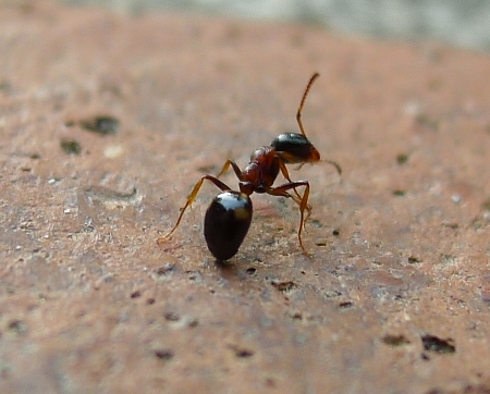 quadri2.jpg