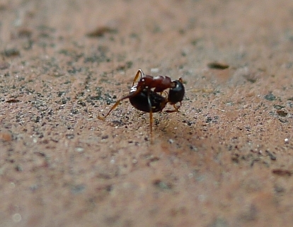 quadri4.jpg