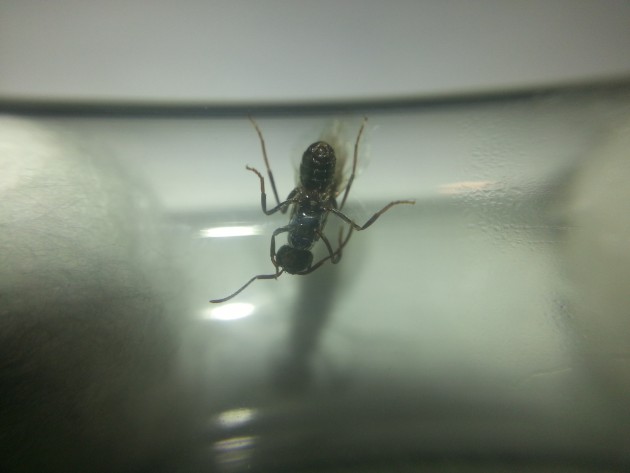 20160811_232618.jpg