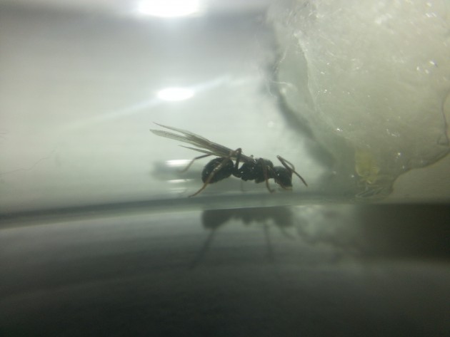 20160811_232734.jpg