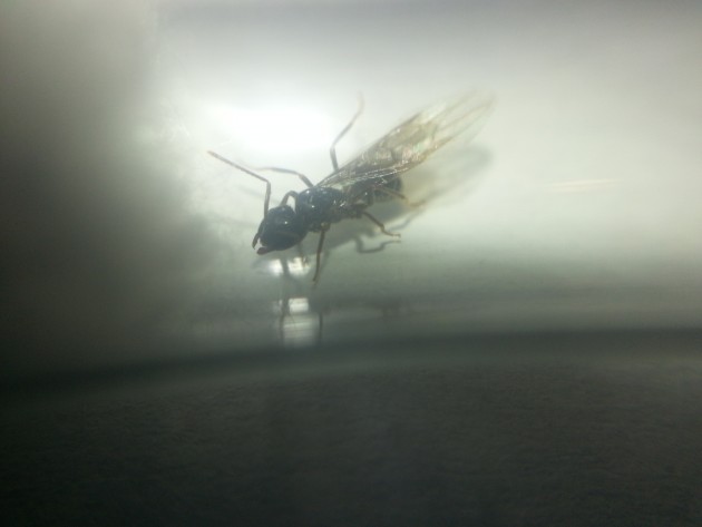 20160811_234218.jpg