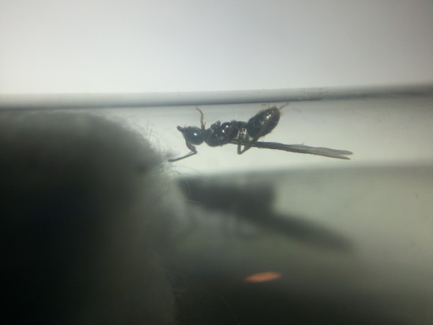 20160811_234313.jpg