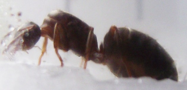 DSCF3545.JPG
